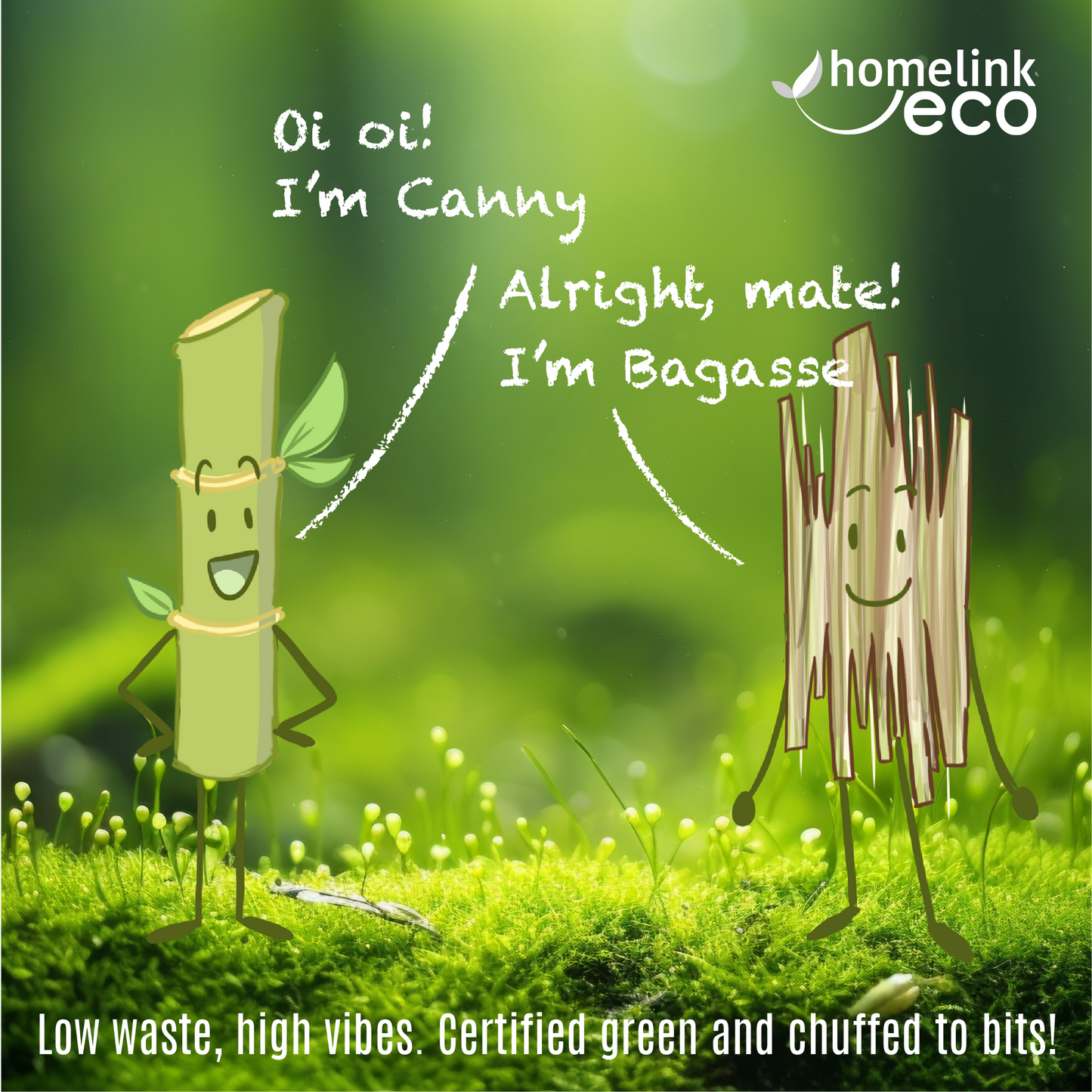 12oz / 350ml Bagasse Bowl H